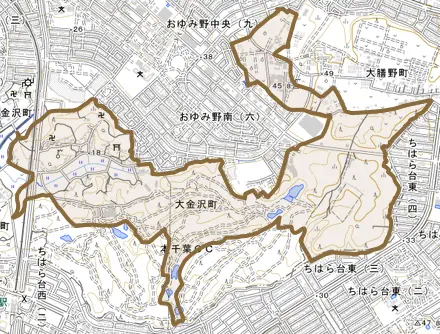 大金沢町とその周辺の地図。町の範囲を重ねている