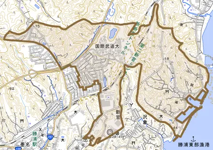 新官とその周辺の地図。町の範囲を重ねている