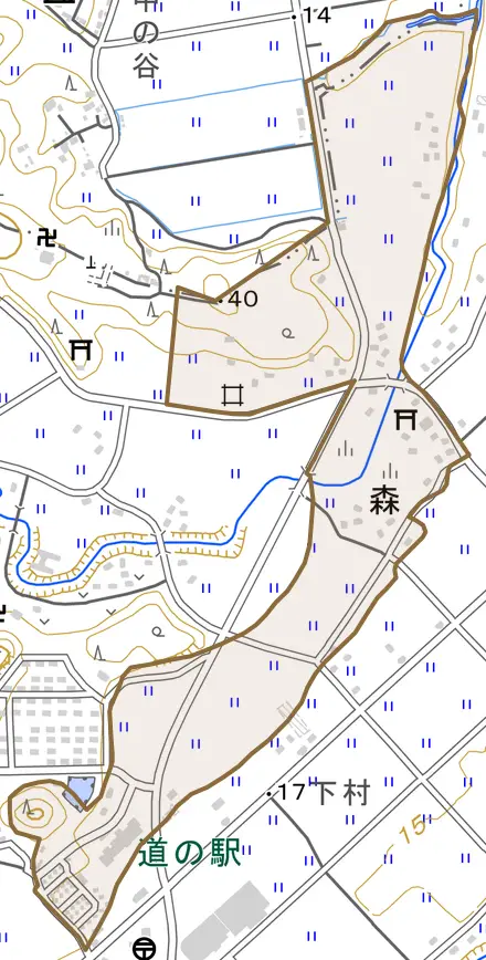 森とその周辺の地図。町の範囲を重ねている