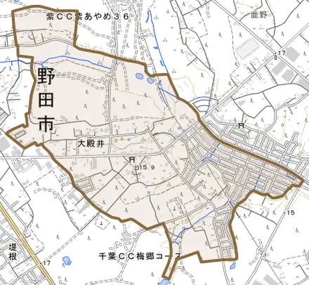 大殿井とその周辺の地図。町の範囲を重ねている