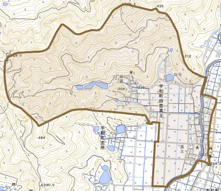 宇和町田苗真土とその周辺の地図。町の範囲を重ねている