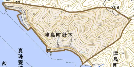 津島町針木とその周辺の地図。町の範囲を重ねている