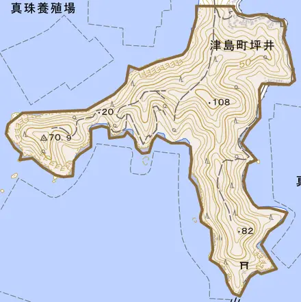 津島町坪井とその周辺の地図。町の範囲を重ねている