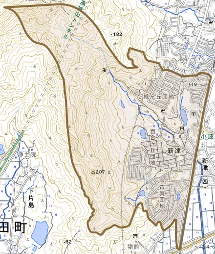大字新津とその周辺の地図。町の範囲を重ねている