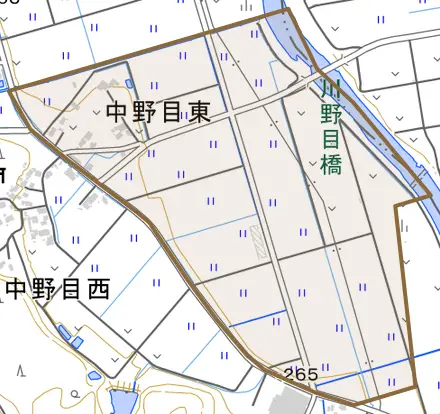 中野目東とその周辺の地図。町の範囲を重ねている