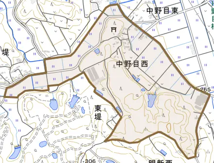 中野目西とその周辺の地図。町の範囲を重ねている
