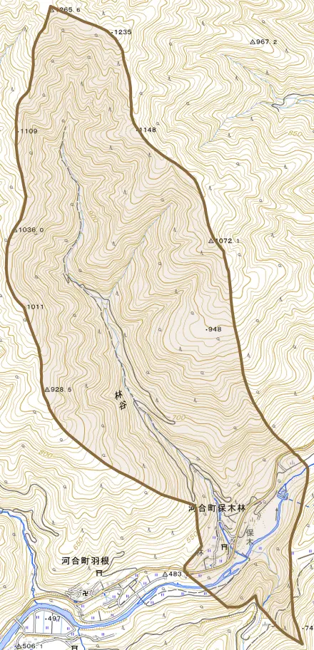 河合町保木林とその周辺の地図。町の範囲を重ねている