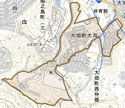 大畑町大洞とその周辺の地図。町の範囲を重ねている