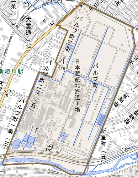パルプ町とその周辺の地図。町の範囲を重ねている
