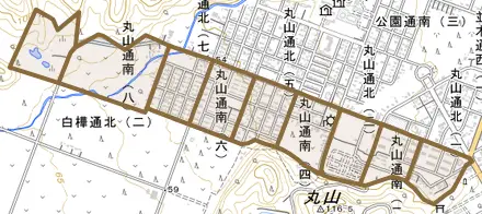 丸山通南とその周辺の地図。町の範囲を重ねている