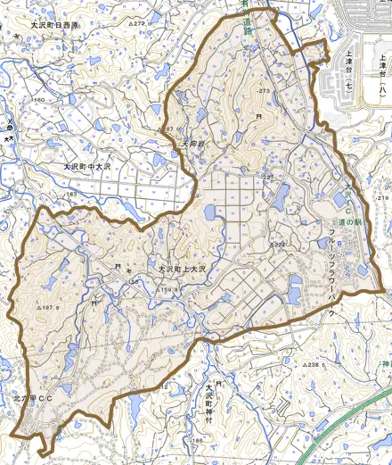 大沢町上大沢とその周辺の地図。町の範囲を重ねている