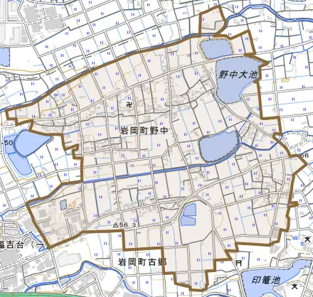 岩岡町野中とその周辺の地図。町の範囲を重ねている