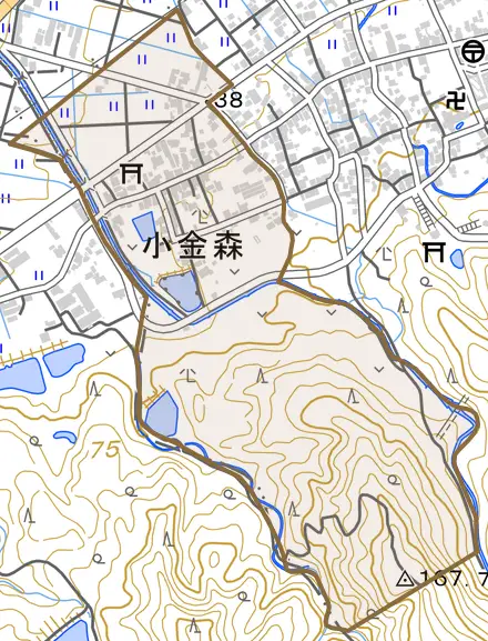 小金森とその周辺の地図。町の範囲を重ねている