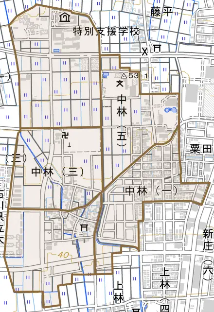 中林とその周辺の地図。町の範囲を重ねている