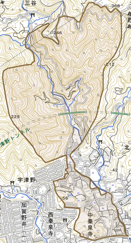 中秦泉寺とその周辺の地図。町の範囲を重ねている
