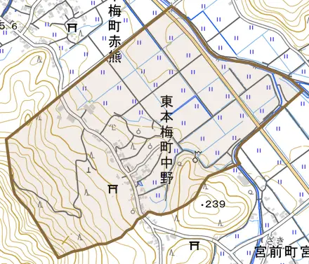 東本梅町中野とその周辺の地図。町の範囲を重ねている