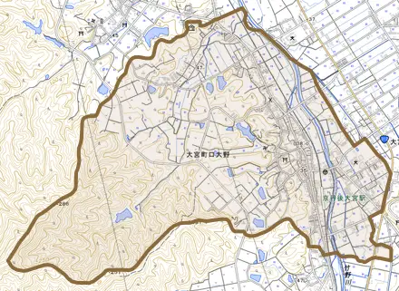 大宮町口大野とその周辺の地図。町の範囲を重ねている