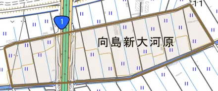 向島新大河原とその周辺の地図。町の範囲を重ねている