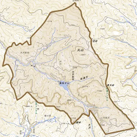 大沢新田とその周辺の地図。町の範囲を重ねている