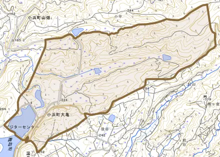 小浜町大亀とその周辺の地図。町の範囲を重ねている
