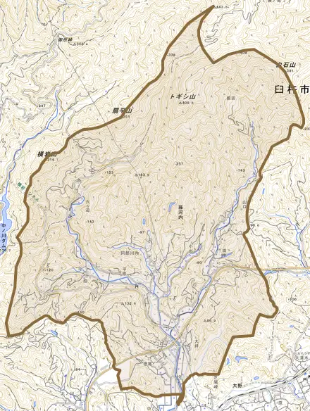 大字藤河内とその周辺の地図。町の範囲を重ねている