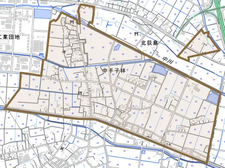 大字中手子林とその周辺の地図。町の範囲を重ねている