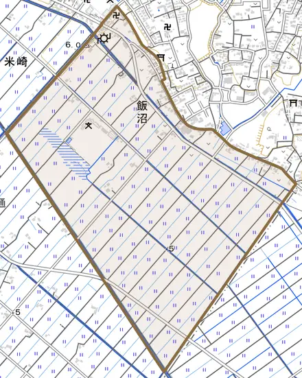 飯沼とその周辺の地図。町の範囲を重ねている