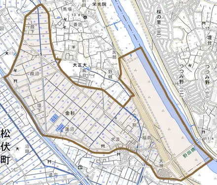 大字金杉とその周辺の地図。町の範囲を重ねている