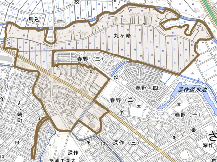 大字丸ヶ崎とその周辺の地図。町の範囲を重ねている