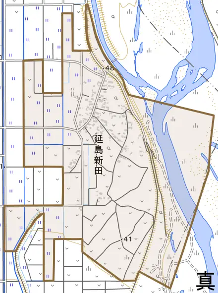 大字延島新田とその周辺の地図。町の範囲を重ねている