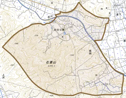 大字飯岡とその周辺の地図。町の範囲を重ねている