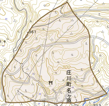 庄川町名ケ原とその周辺の地図。町の範囲を重ねている