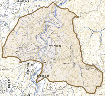 婦中町道島とその周辺の地図。町の範囲を重ねている