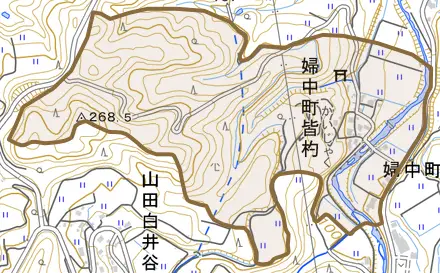 婦中町皆杓とその周辺の地図。町の範囲を重ねている