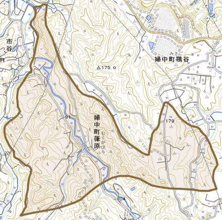 婦中町葎原とその周辺の地図。町の範囲を重ねている