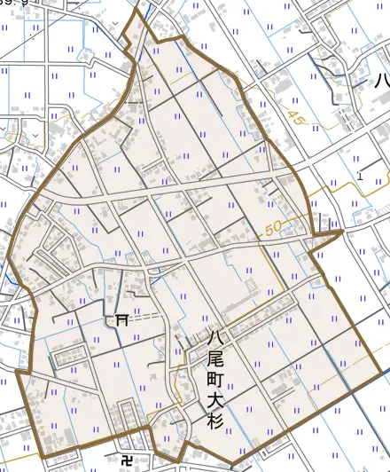 八尾町大杉とその周辺の地図。町の範囲を重ねている